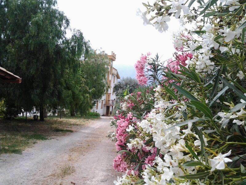 Rocca Di Monreale Bed and Breakfast Εξωτερικό φωτογραφία